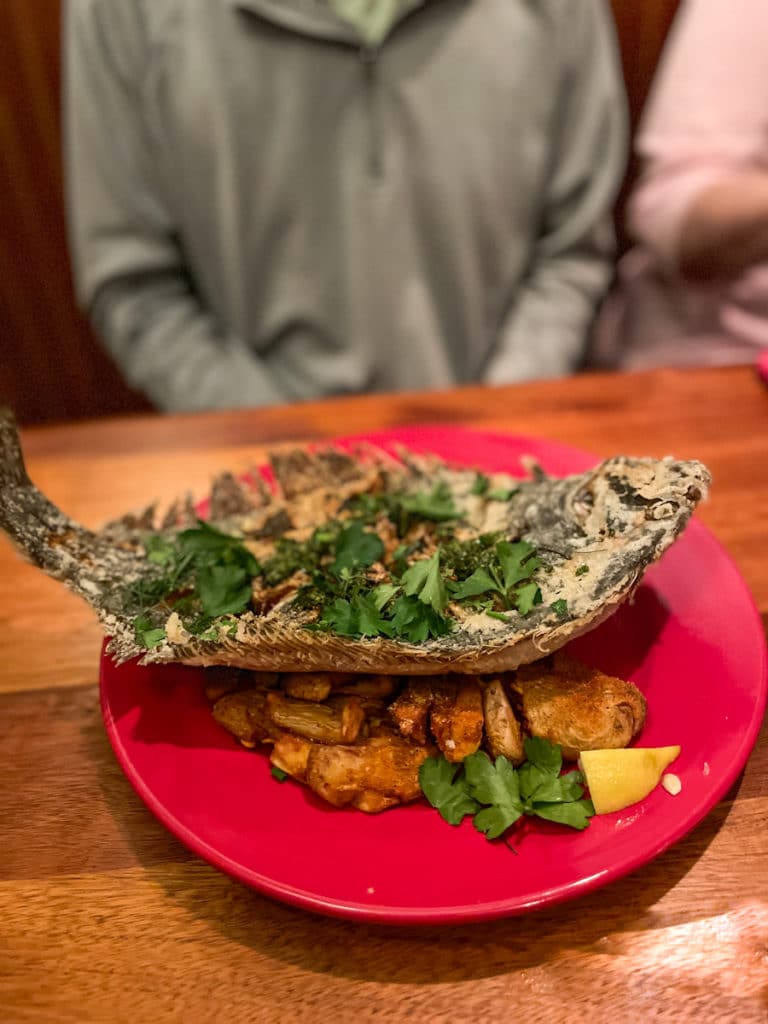 Siren Cville flounder