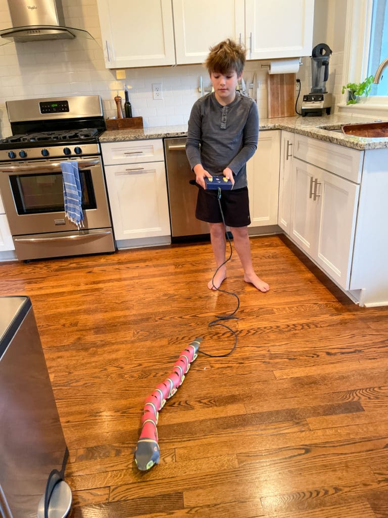 remote control snake - Winter Break Fun