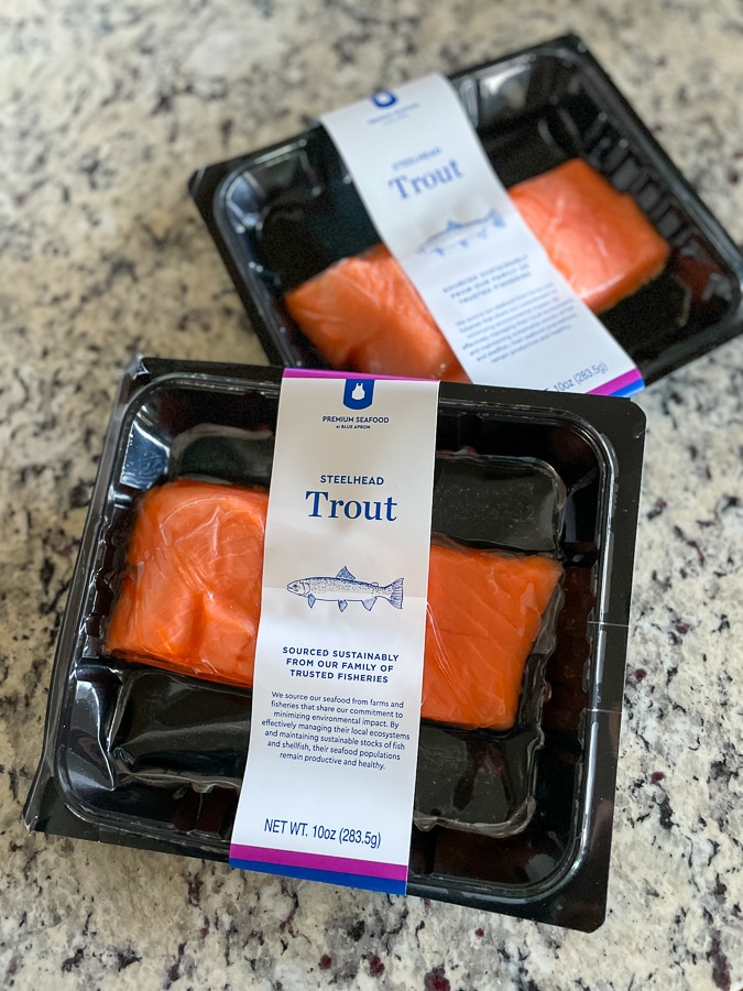 steelhead trout
