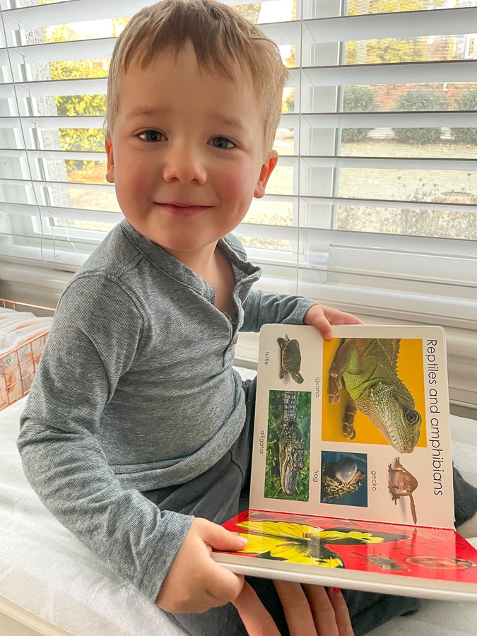 toddler reading books |Day In The Life