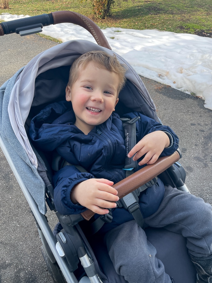 Birch on a stroller