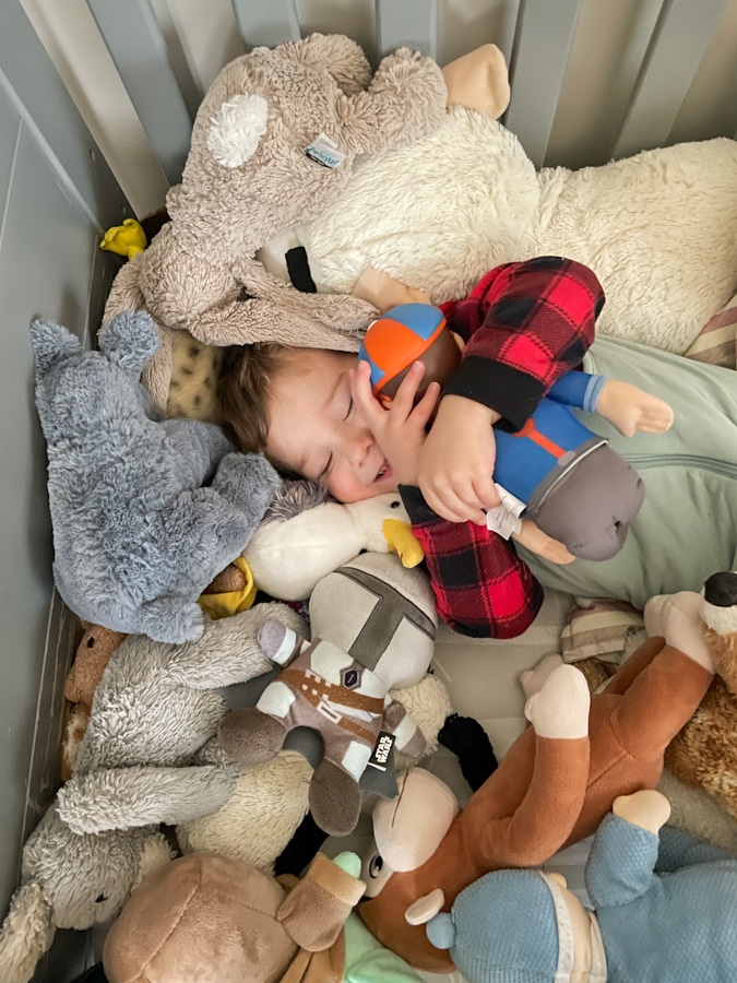birch animal toys | Instagram vs Reality