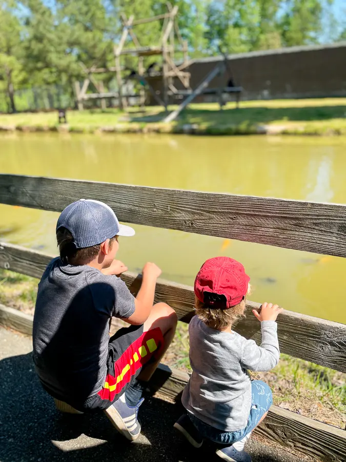 Richmond Metro Zoo