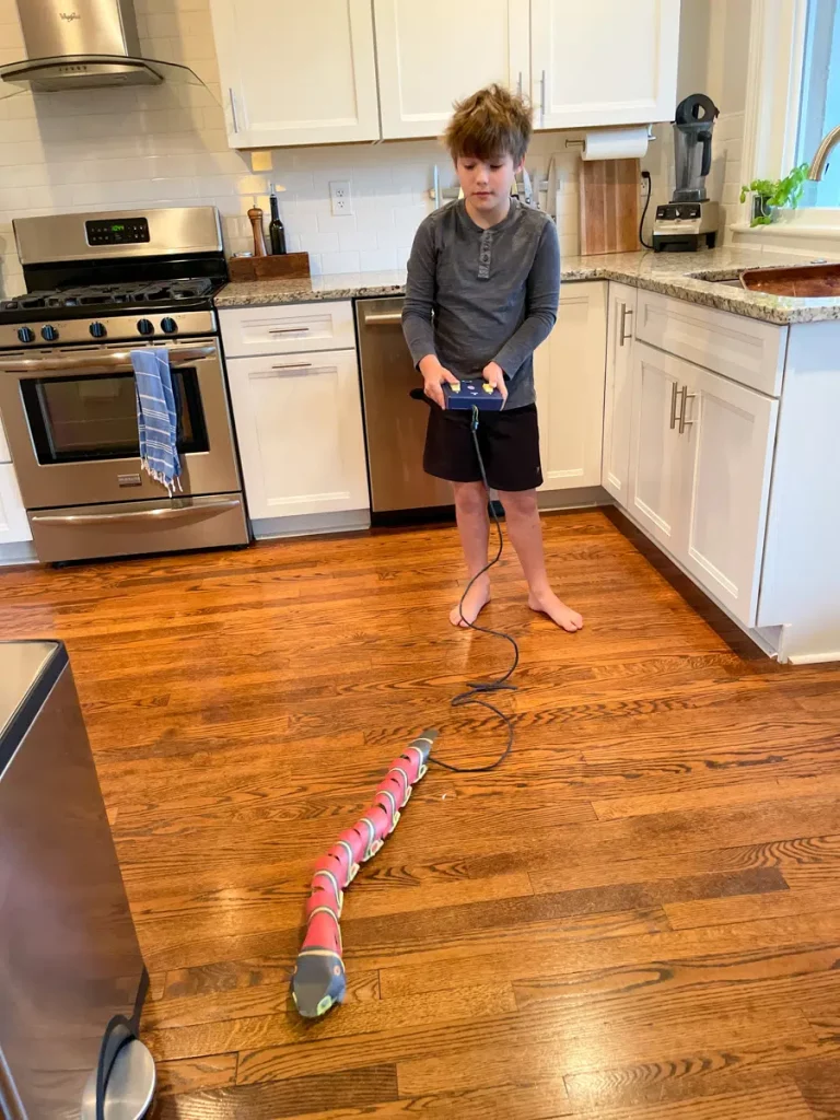 remote control snake