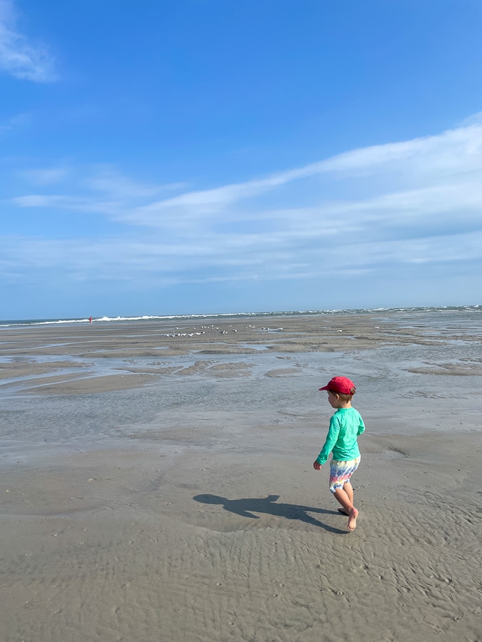 Tide Pools BHI | Shore Is Beautiful