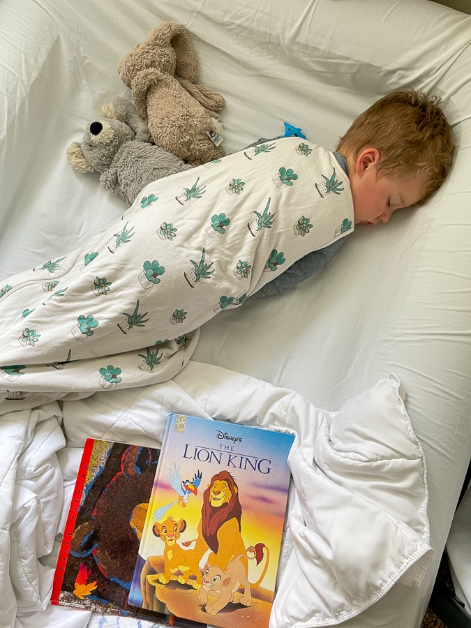 Succulent sleep sack by Kyte baby