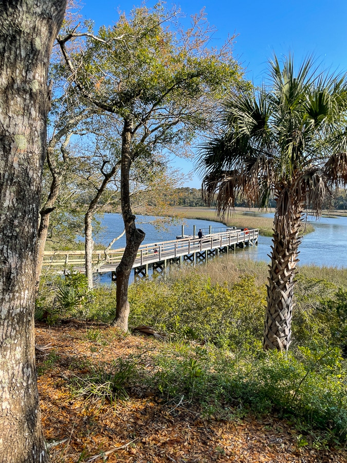 Spring Marsh Mornings