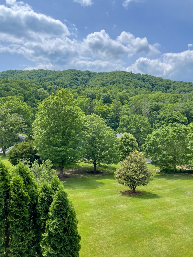 The Homestead room view