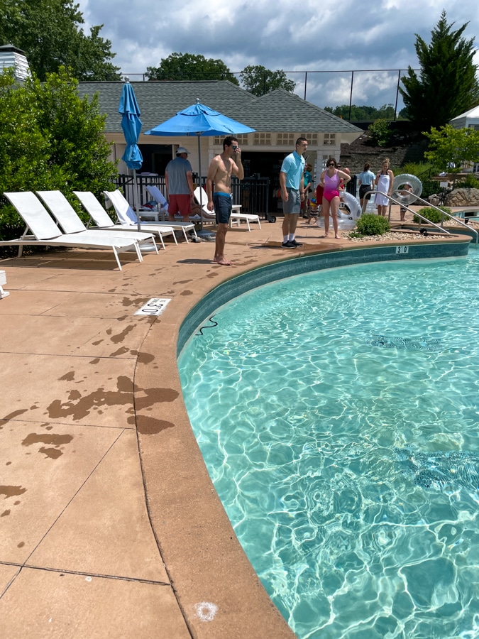 snake in the pool