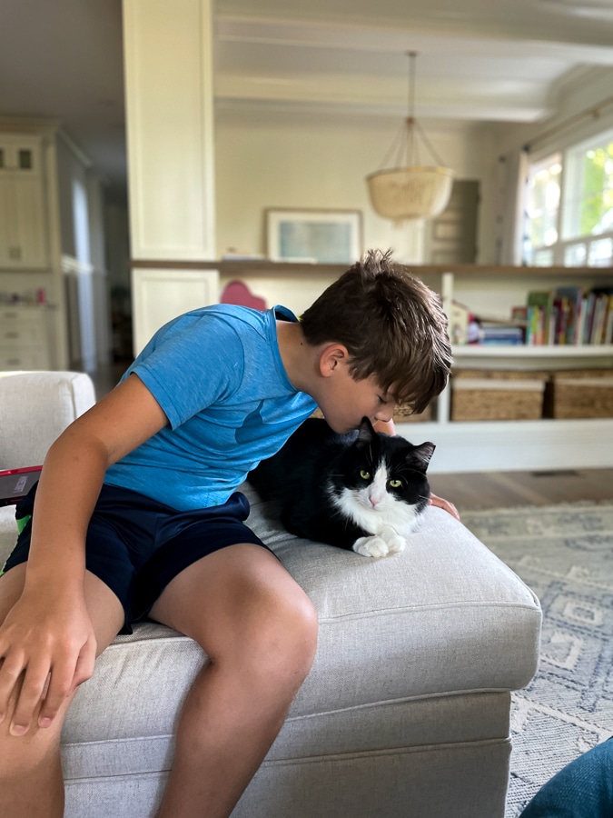 Mazen kissing cat