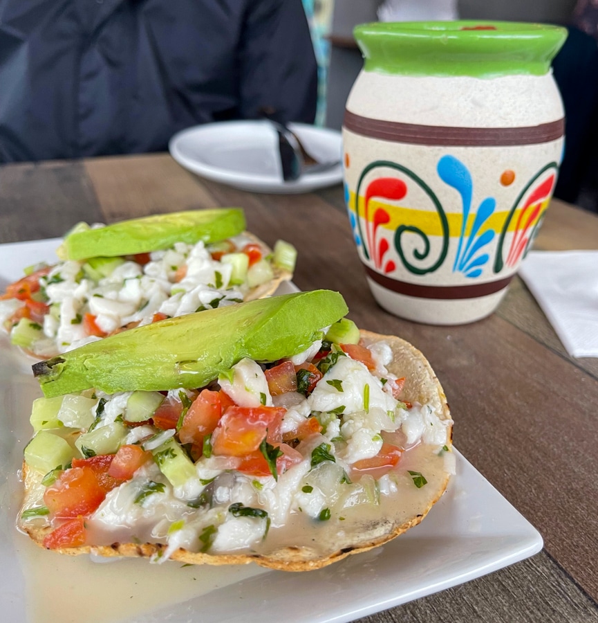 Conmole ceviche