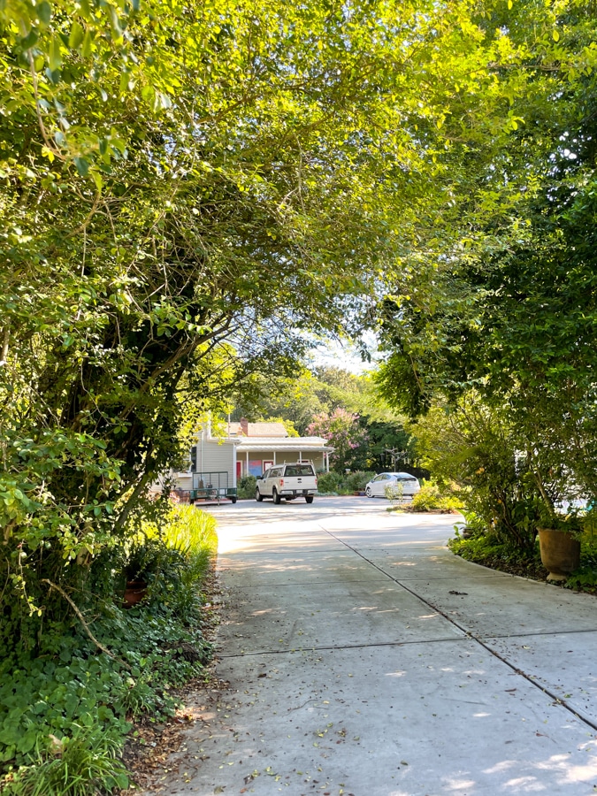 Monday Sunshine | Summer in Hillsborough