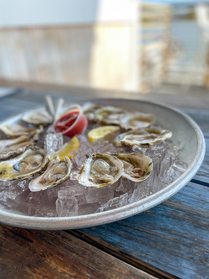 Oysters for dinner