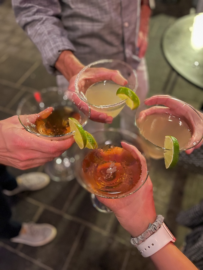 adults holding cocktail glasses