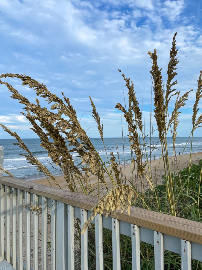 Fall trip to OBX