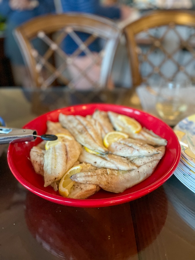 Red Drum + Spanish Mackerel