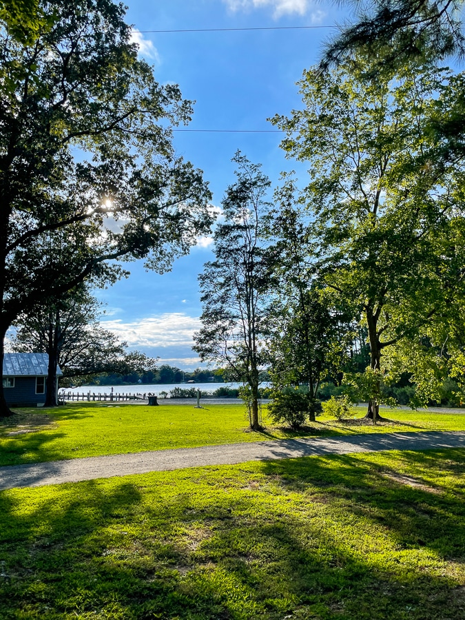 Virginia airbnb view