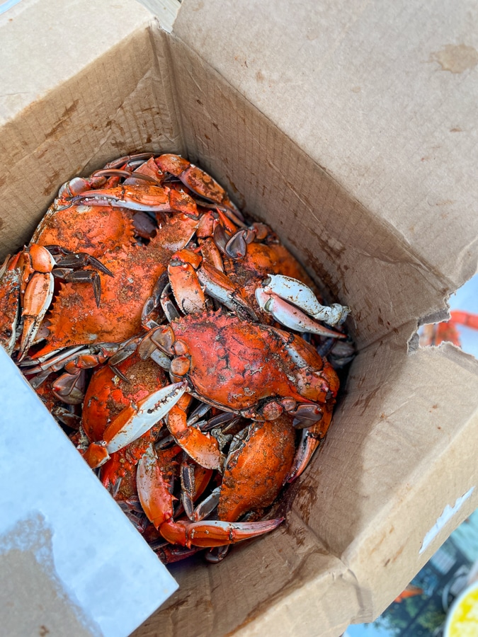 Crabs in box