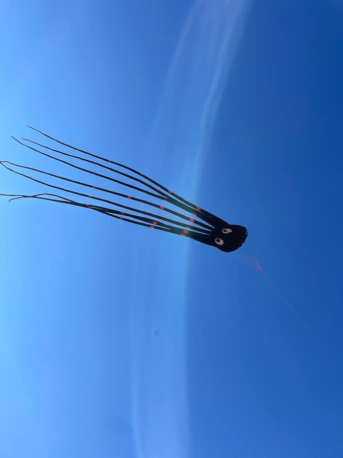 big octopus kite | Fall Trip To OBX - Part 2