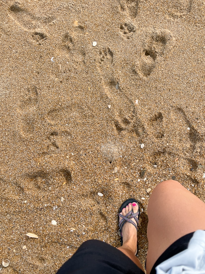 beach walks Fall Trip To OBX - Part 2