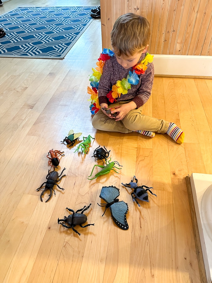 Birch and bug toys