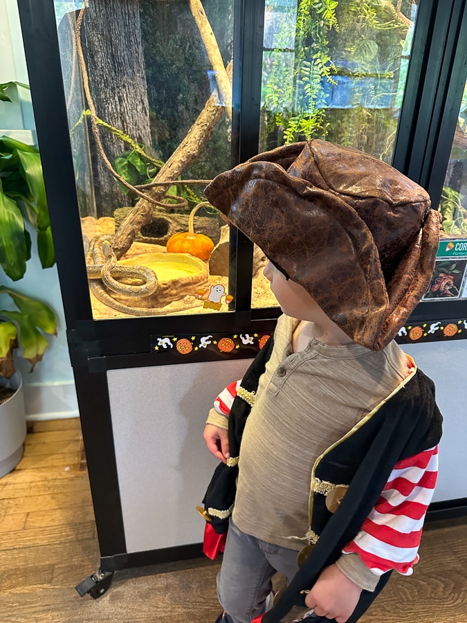 BHI Conservancy snakes | Halloween on Bald Head Island