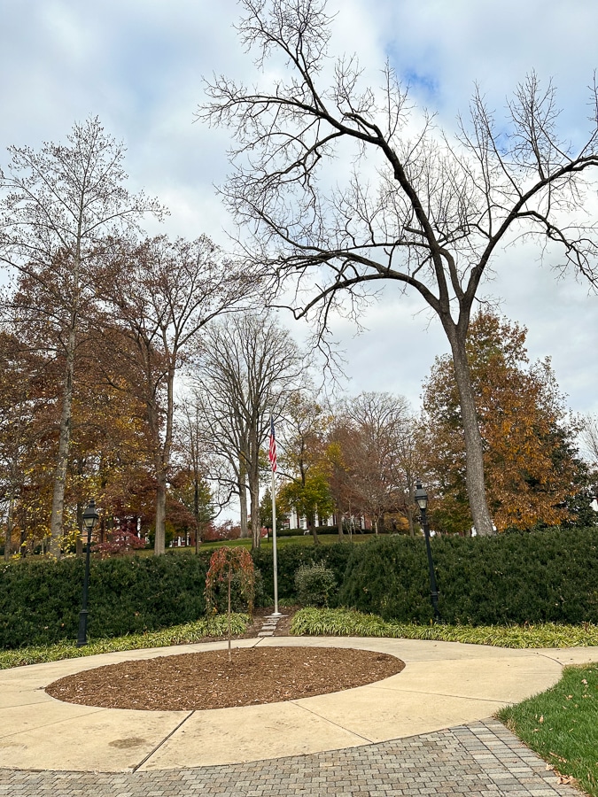 Lexington college stroll