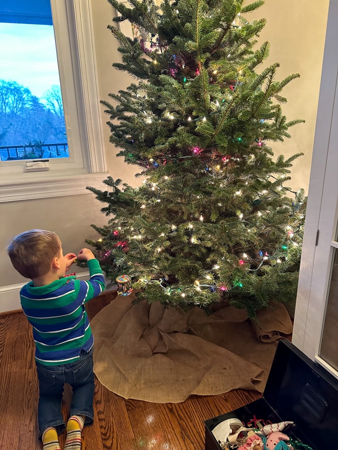 Fresh Christmas tree at home