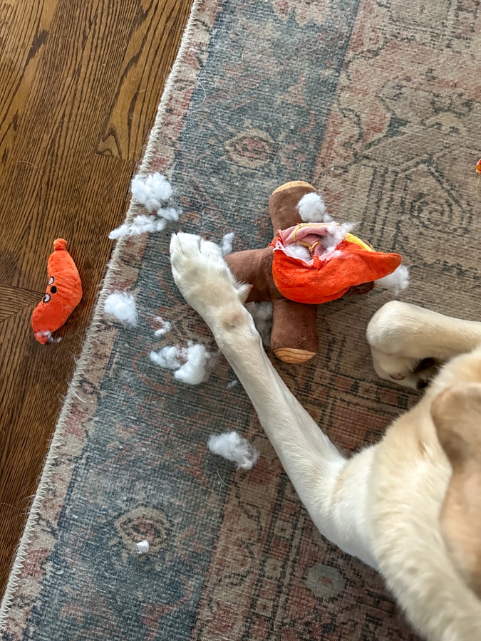dog stuffed toy puffs
