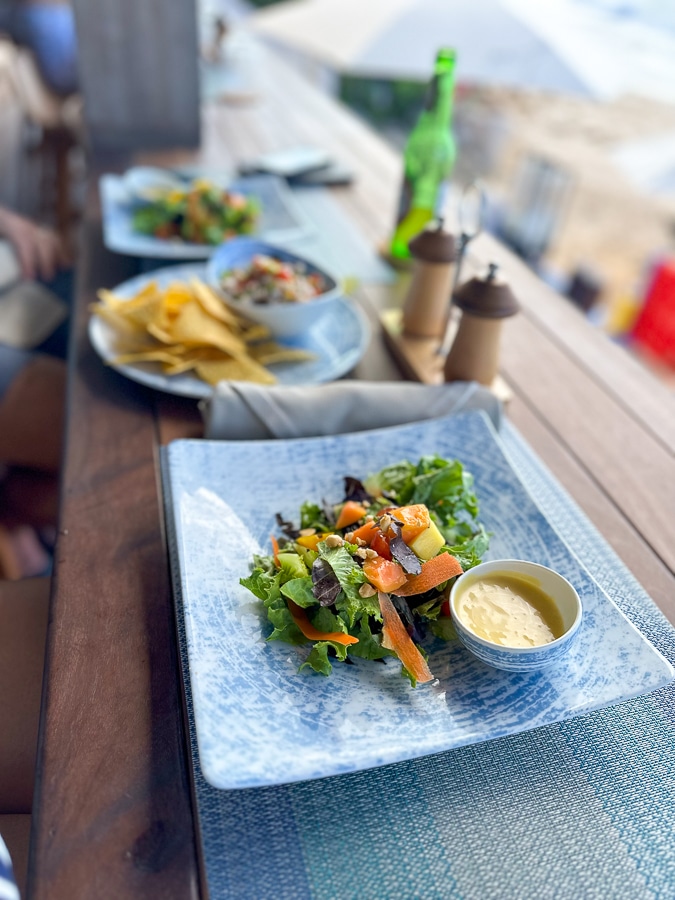 Ceviche and salad