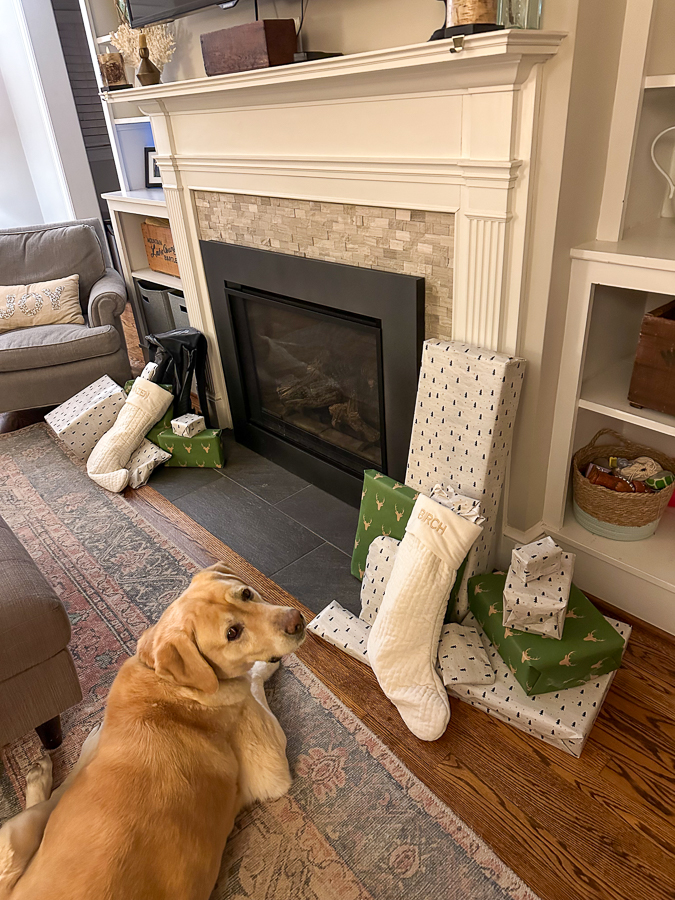 Santa Guard Dog