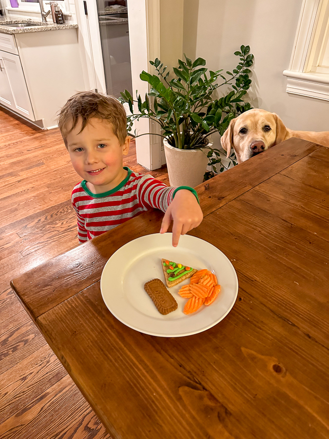 Snacks for Santa | Christmas Break 2022 Recap