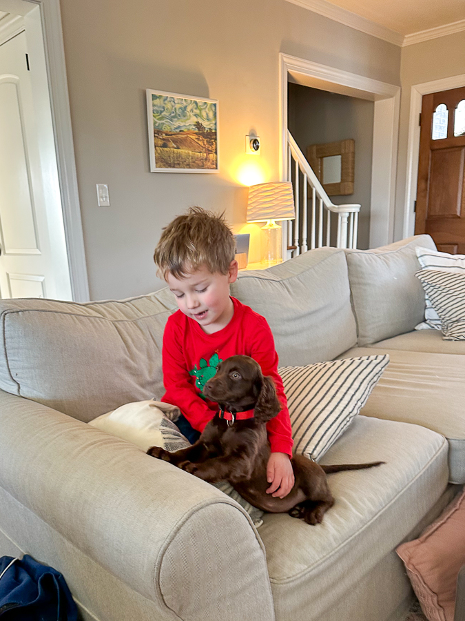 Birch playing with puppy