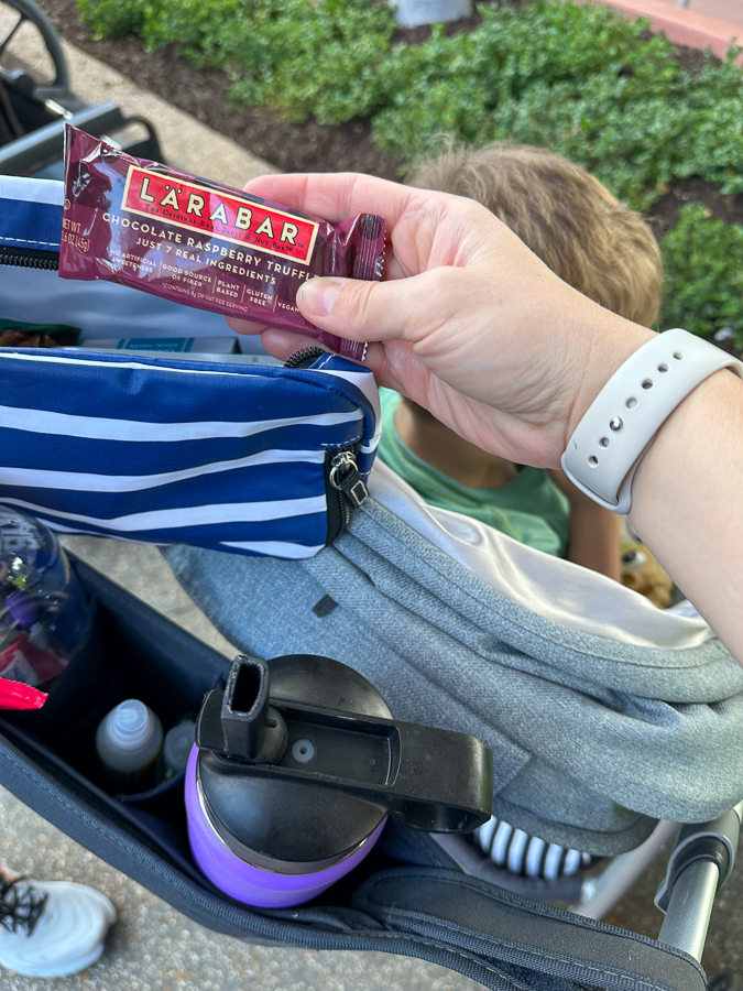 packed snacks for Disney
