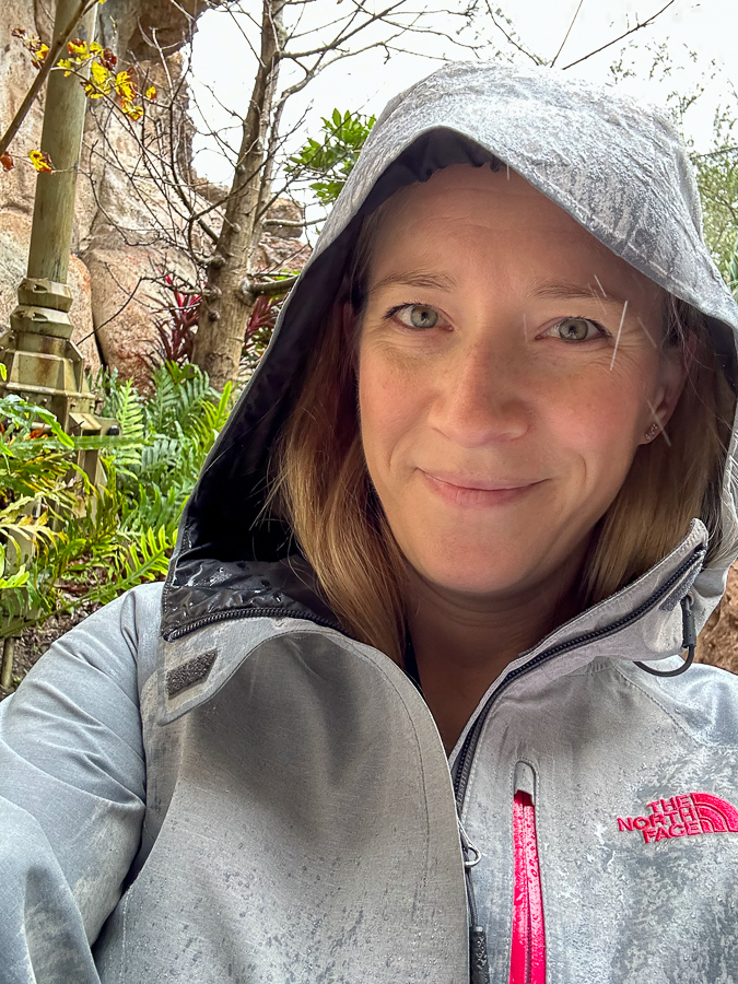 the north face hoodie