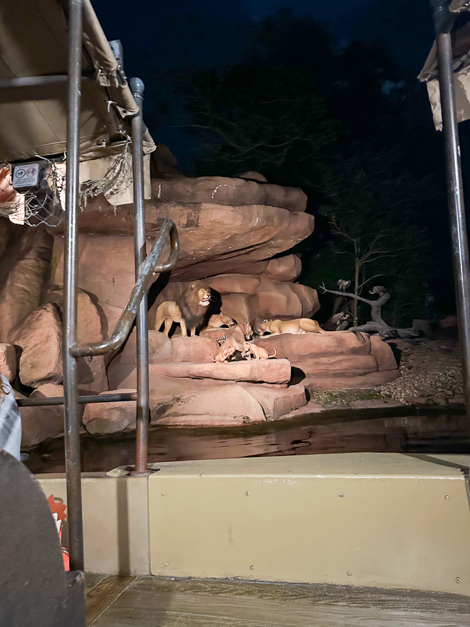 Jungle Cruise | Disney Trip: Magic Kingdom