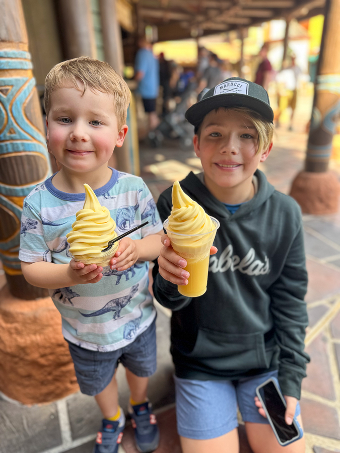 Dole Whip Snack