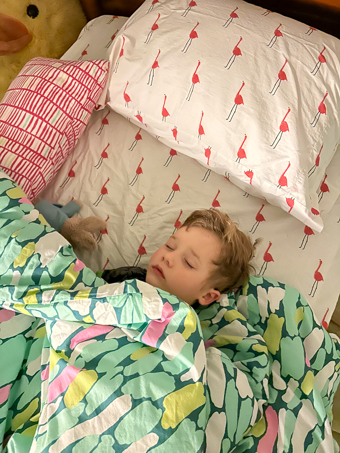 Birch sleeping | Visit to Hillsborough
