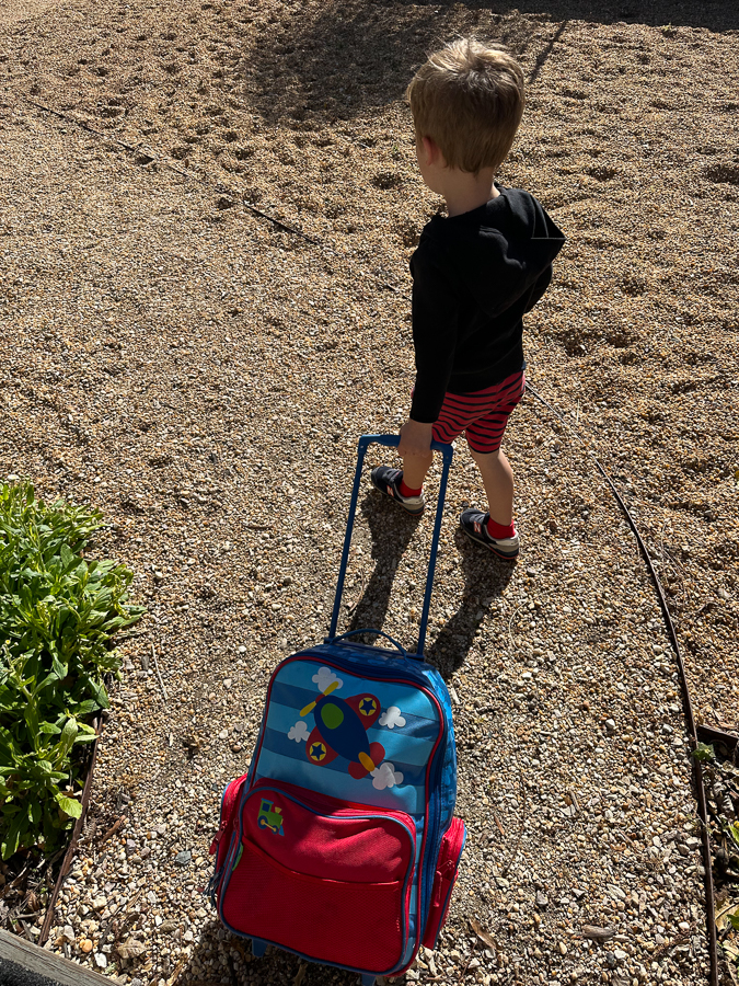 Birch trolley bag