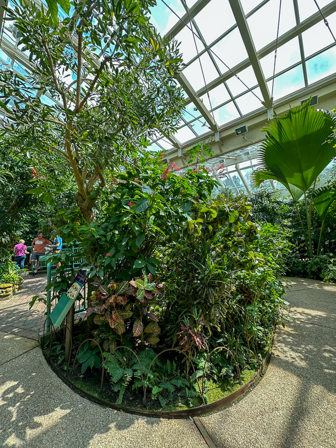 The Butterfly House