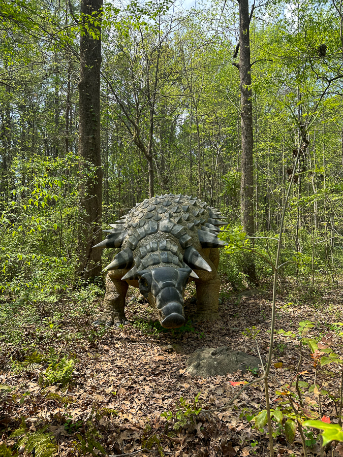 Museum of Life and Science Dinosaur Trail