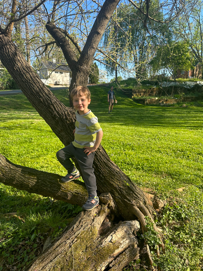 Sunny baseball / yard time