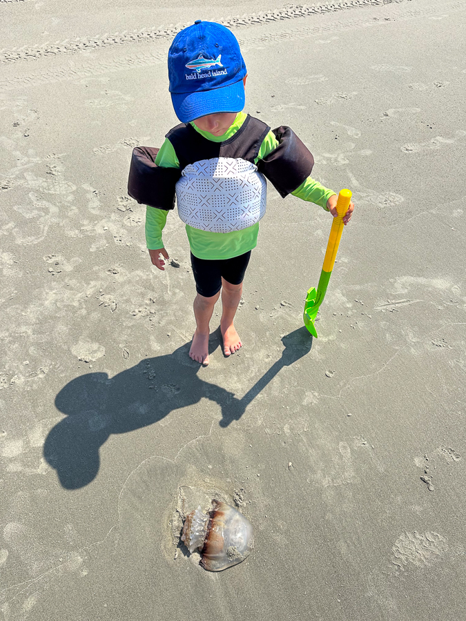 Birch Bald Head Island 2023