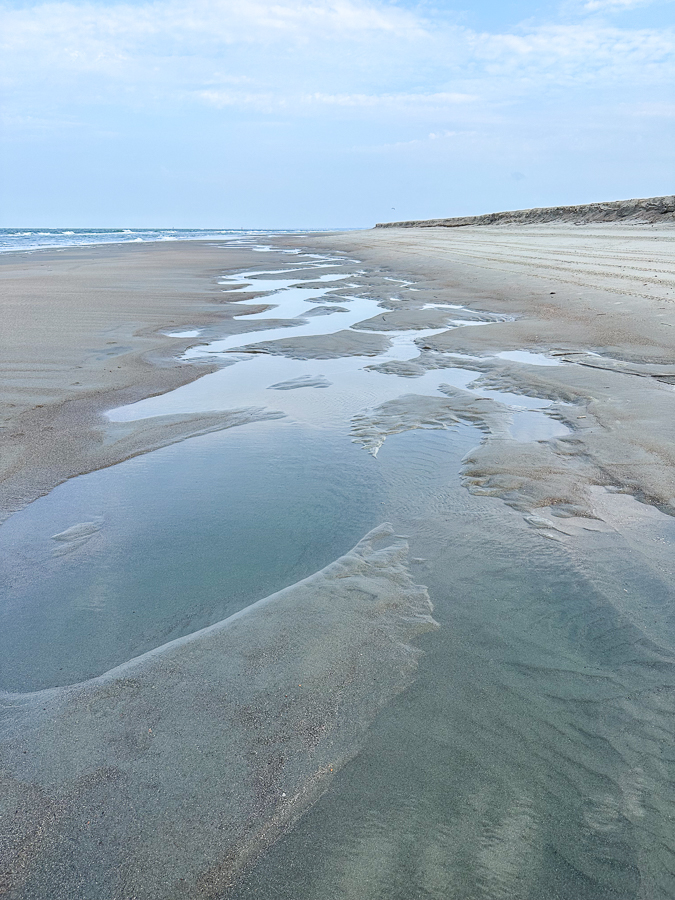 Beach Walks Bald Head Island 2023