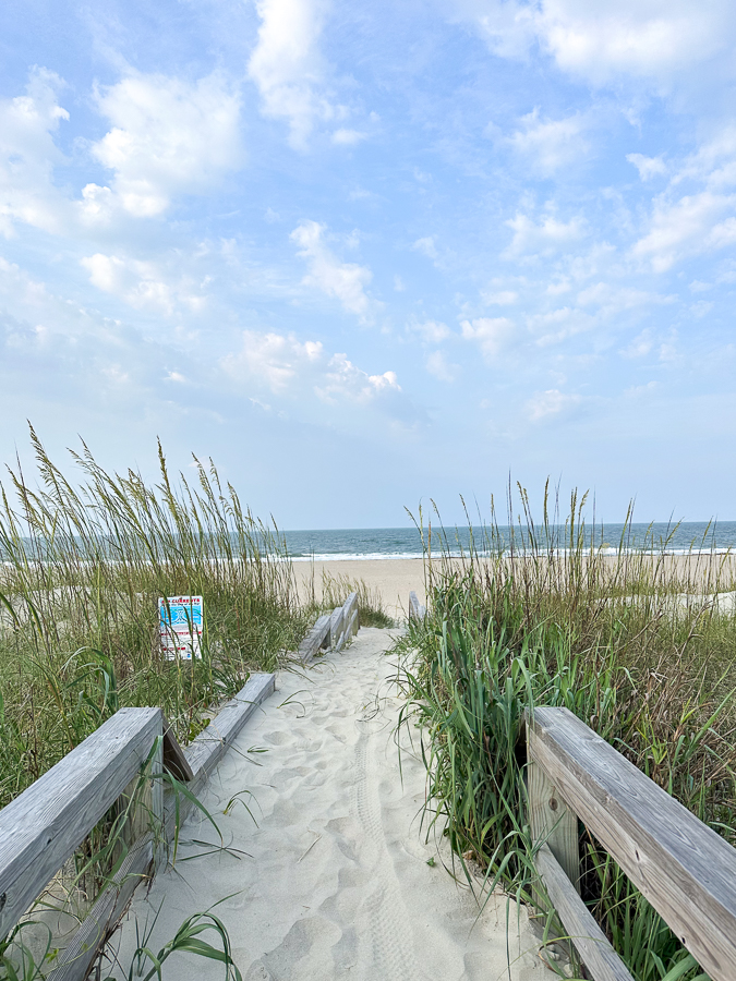 Beach Walks