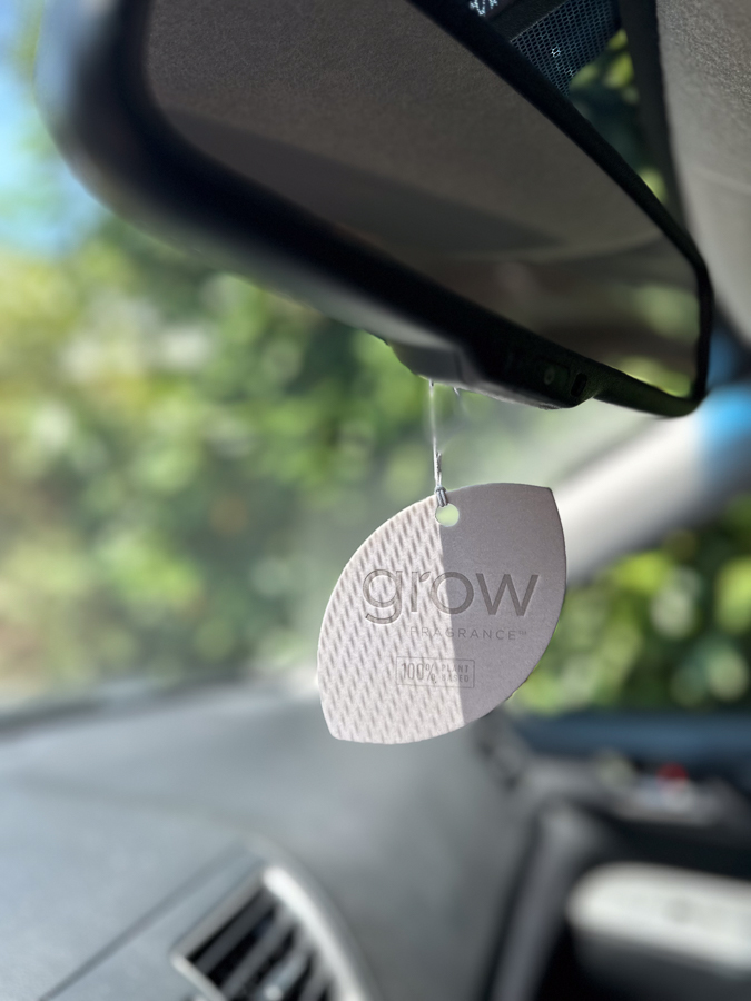 Air Fresheners