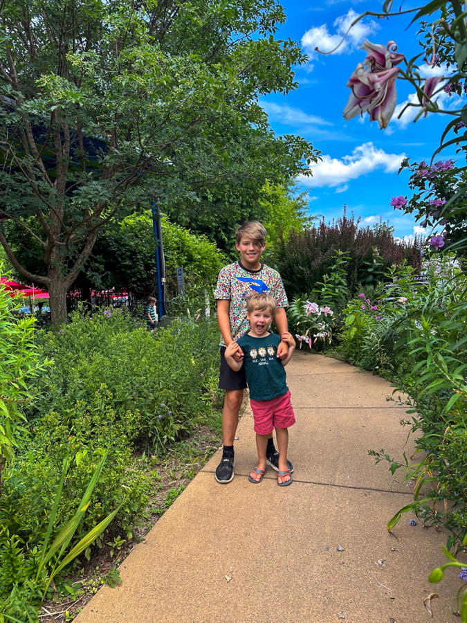 Mommy Camp