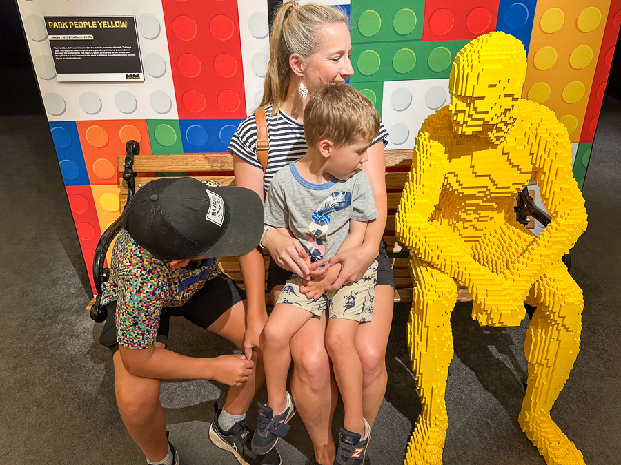 The Art of the Brick