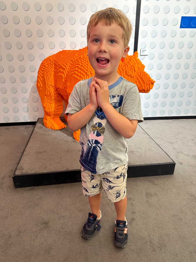 bear lego | Summer Finale In Hillsborough