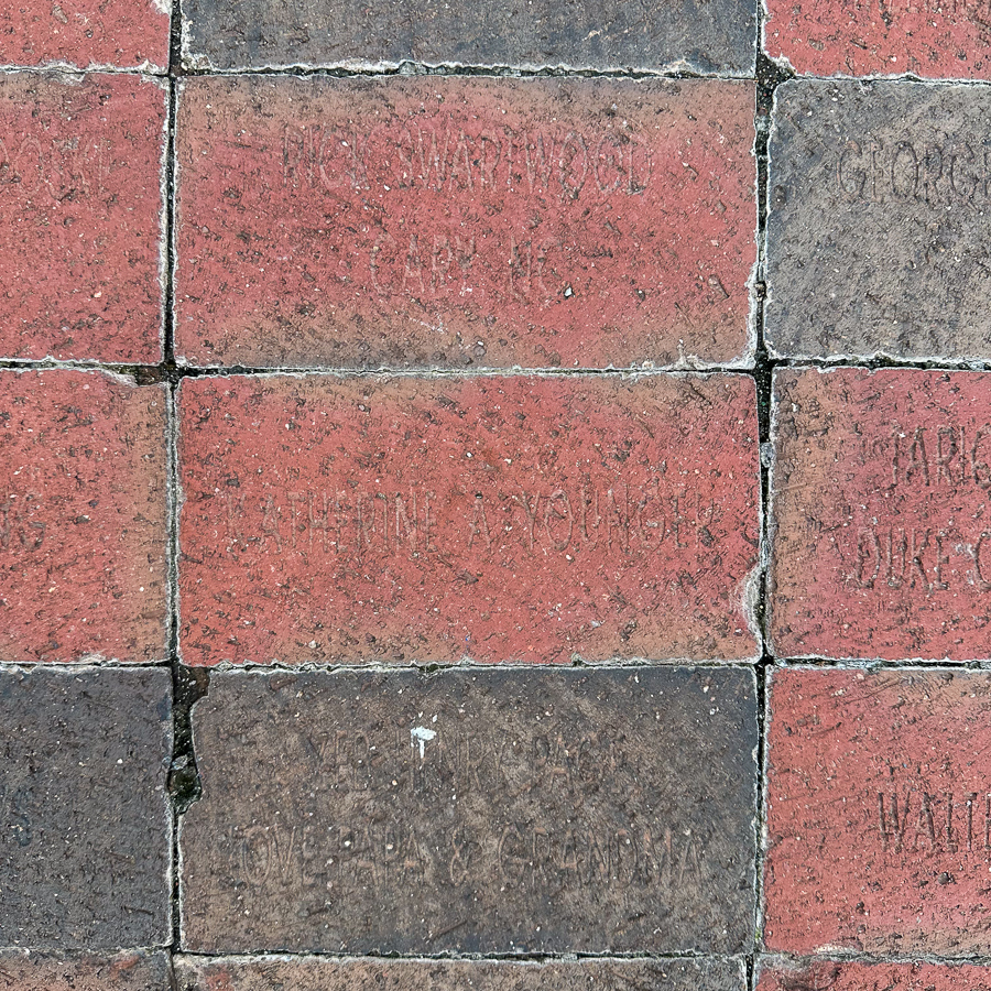 Snorting Bull square